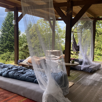 nw_button_naturauszeit-frauen-2025 button_naturauszeit_frauen